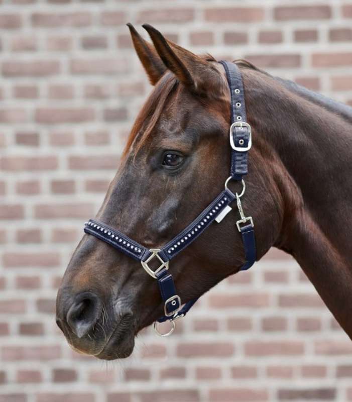 CAVEZZA PER CAVALLO CON PROTEZIONE SUL NASO E NUCA PREZZI SU EQUIGOLD