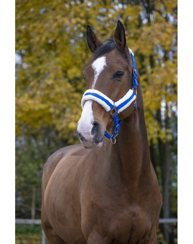 CAPEZZA O CAVEZZA DA CAVALLO CON RIVESTIMENTO PELLICCIA.VENDITA EQUIGOLD