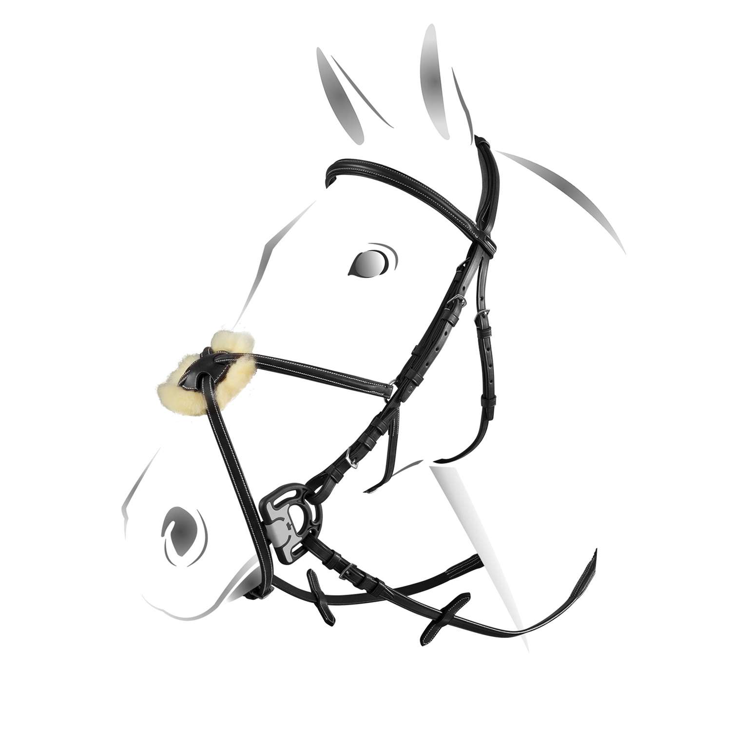 Testiere per cavalli da equitazione