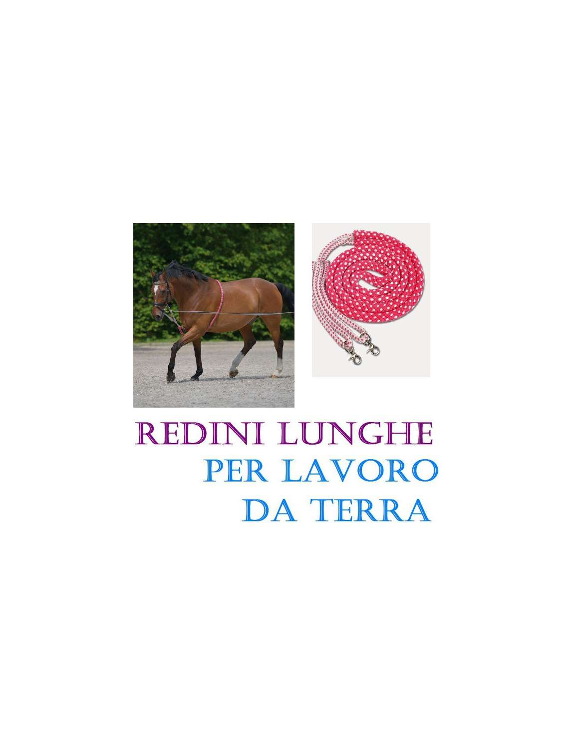 CORDA NYLON PER LAVORO DA TERRA CAVALLO