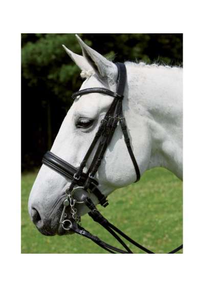 BRIGLIA DA DRESSAGE X-LINE CON DOPPIE REDINI